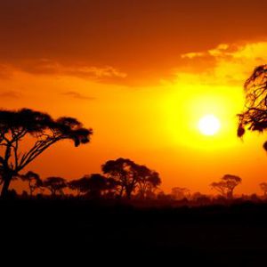 9-daagse safari Shimba Hills