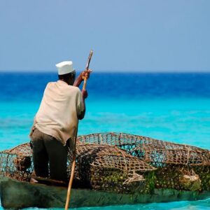 16 daagse safari Selous & Zanzibar deluxe