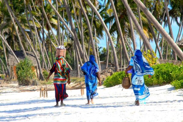 9 daagse safari Selous & Zanzibar