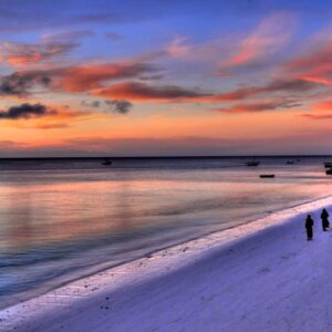 12 daagse safari Selous & Zanzibar