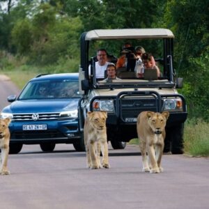 Rondreis Zuid-Afrika: Kruger Park naar Kaapstad