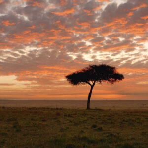 Explore the Great Nature of Kenya