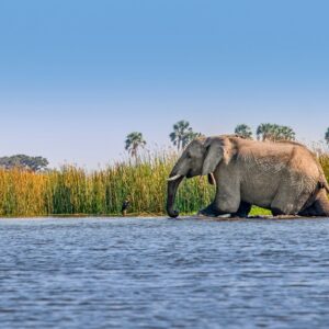 8-daagse safari naar de Victoria Falls