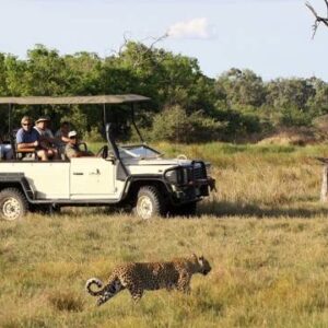 Fly In Luxury Safari Botswana