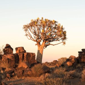 Mariental, hotels en omgeving