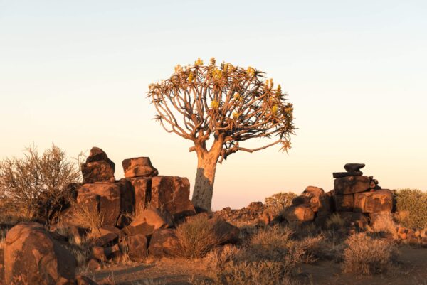 Mariental, hotels en omgeving