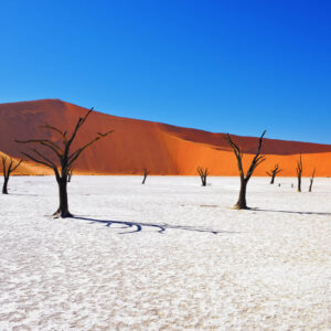 17 daagse rondreis - De highlights van Namibië