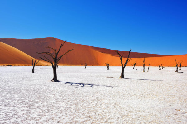 17 daagse rondreis - De highlights van Namibië