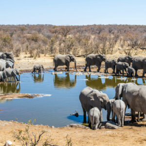Etosha National Park, hotels en omgeving