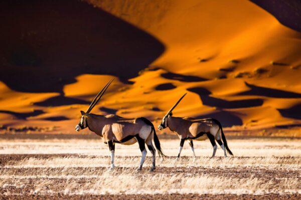 13 daagse rondreis - Indrukwekkend Zuid Namibië