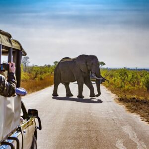 Nationaal Park Kruger, hotels en omgeving