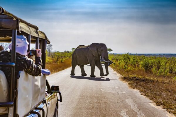 Nationaal Park Kruger, hotels en omgeving