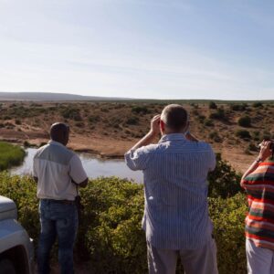 Addo, hotels en omgeving