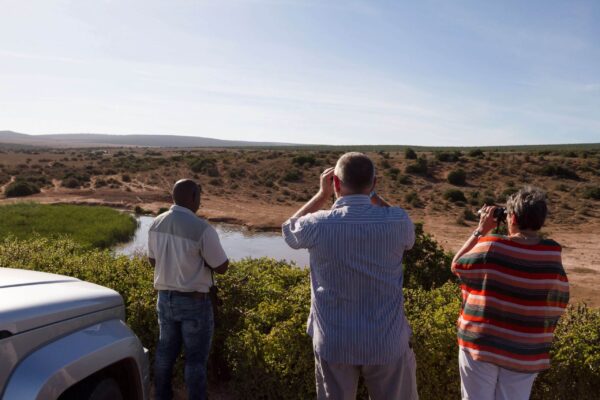 Addo, hotels en omgeving