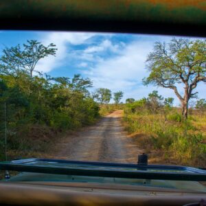 Hluhluwe big five game drive