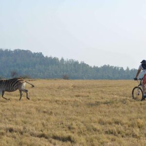 Fietsen door Mlilwane in Swaziland