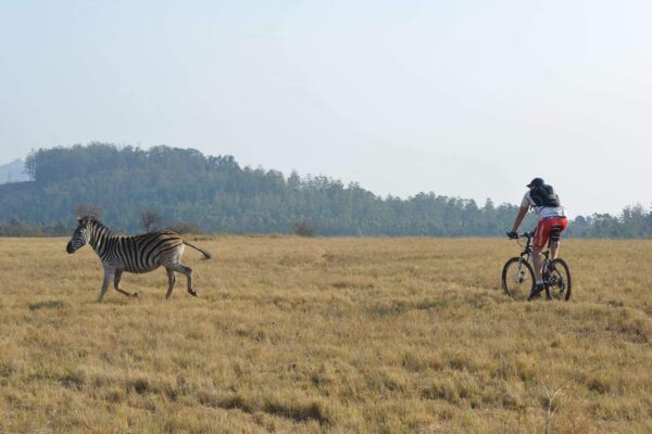 Fietsen door Mlilwane in Swaziland