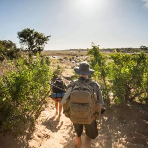 Kruger Park bush walk met gids