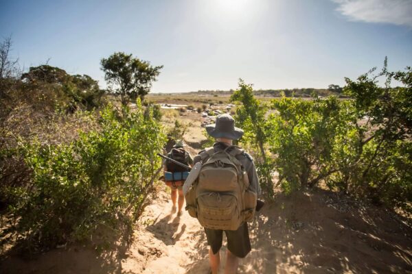 Kruger Park bush walk met gids