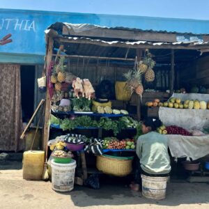 Koninklijke wandeling door Antananarivo - dagexcursie