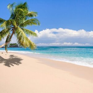De hoogtepunten van Madagascar en strandvakantie
